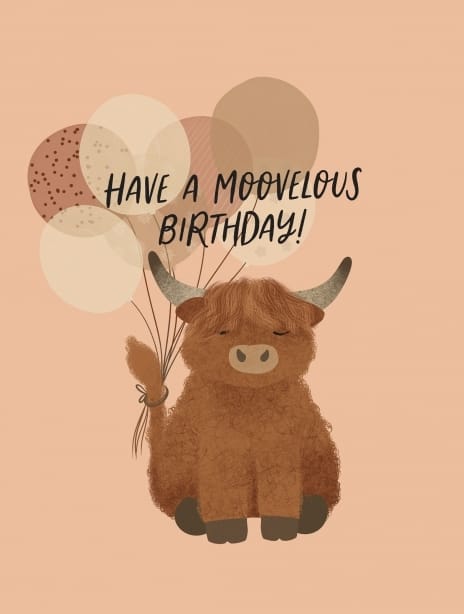 2024 birthday jenna cow