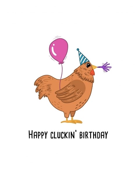 birthday card funny chicken