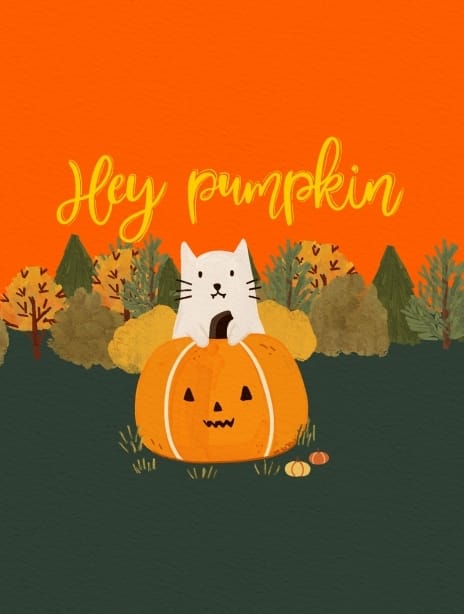 2024 halloween analia 05