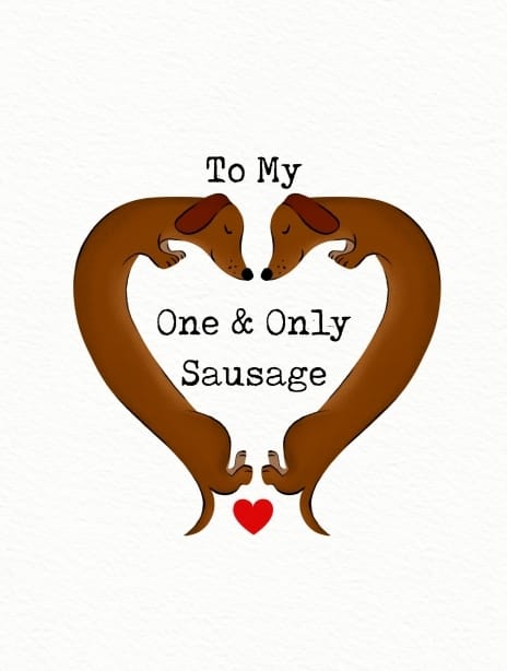 2025 valentines siya dog