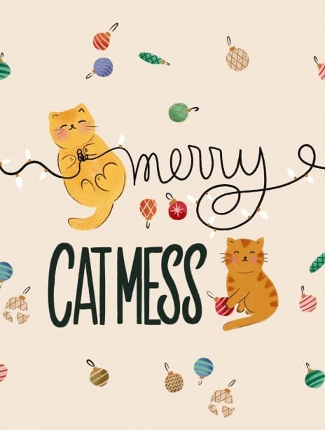 2024 christmas jenna cat