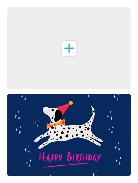 2022 birthday kaytrain dog2