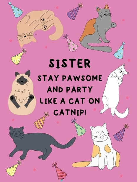 2025 birthday lauralonsdale cat sister