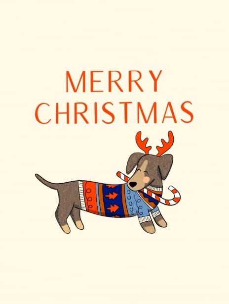 2024 christmas kaytrain pet2