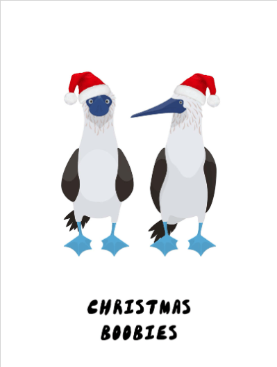 2025 christmas funny 507