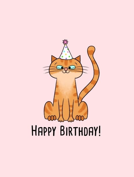 2024 birthday yvonne cat