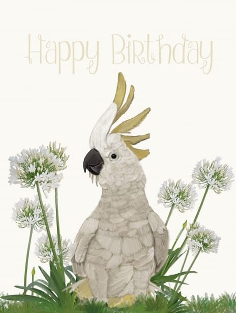 2025 birthday anna bird