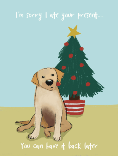 2025 christmas soula 16