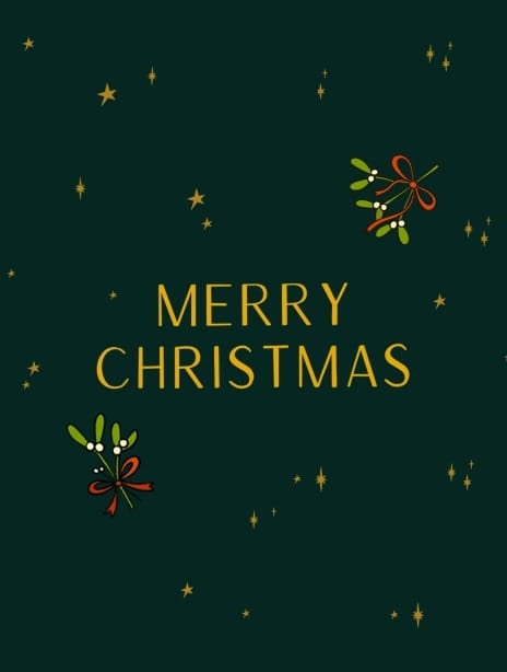 2024 christmas kaytrain merrychristmas