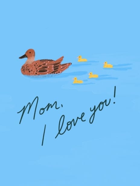 2023 mother'sday hannahbottino duck 4