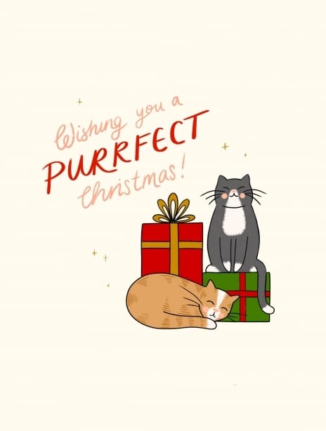 2024 christmas kaytrain cat