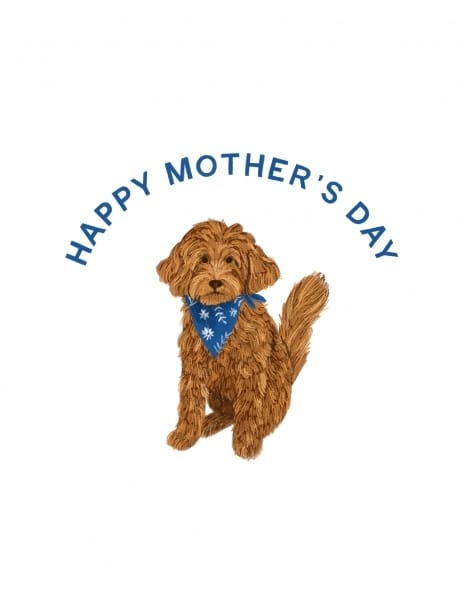 2022 mother'sday hannahbottino dog happymothersday