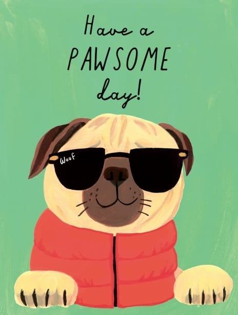 2025 birthday holly dog pug