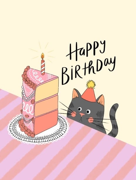 2024 birthday kaytrain cat&cake2