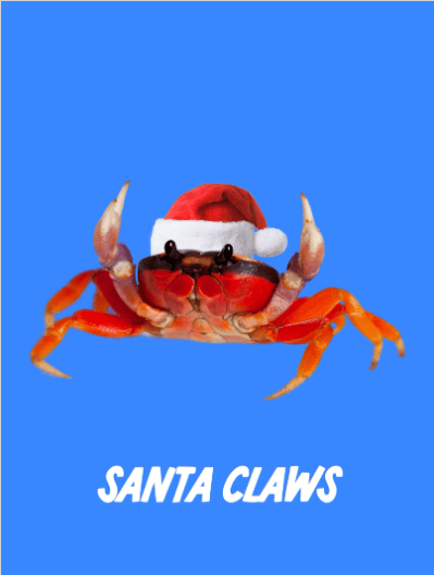 2025 christmas funny 512