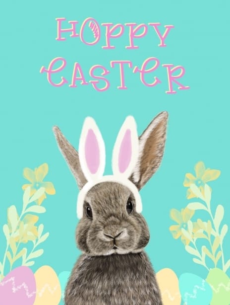 2025 easter anna rabbit2