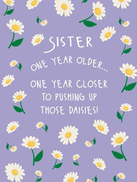 2025 birthday lauralonsdale sister daisies