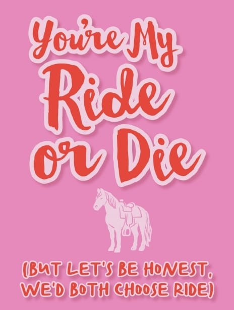 2025 valentine jenna horse3