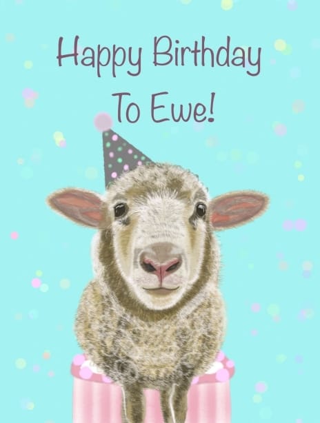 2025 birthday anna lamb