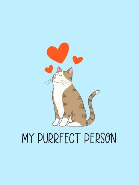 2025 valentines kaytrain cat