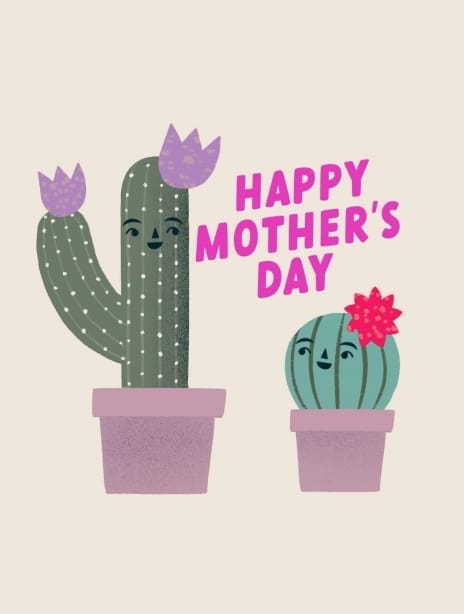 2022 mother'sday catalinawilliams cactus