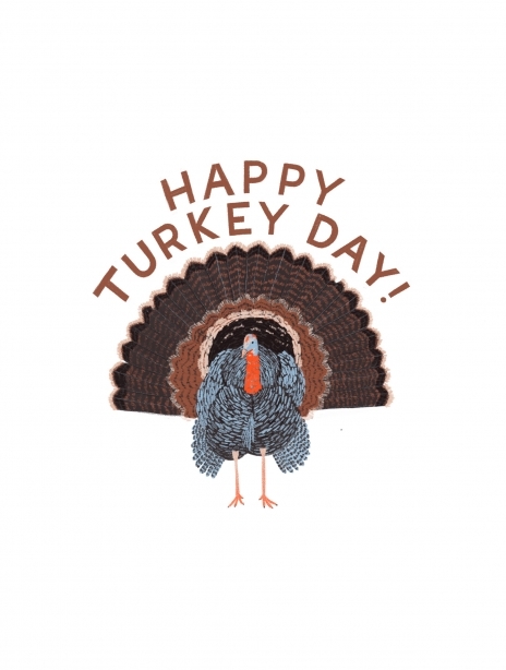 2021 thanksgiving hannahbotino turkey