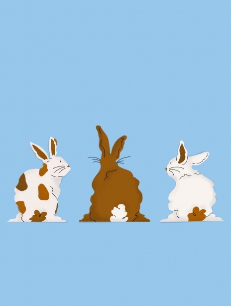 2022 easter rabbits illustration1