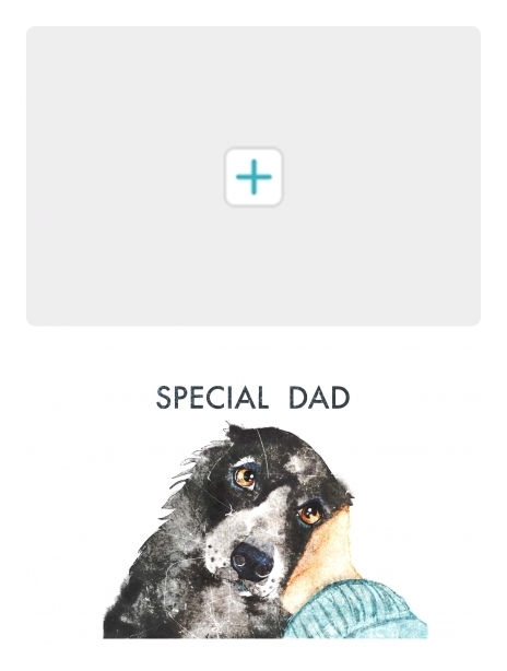 Pets card