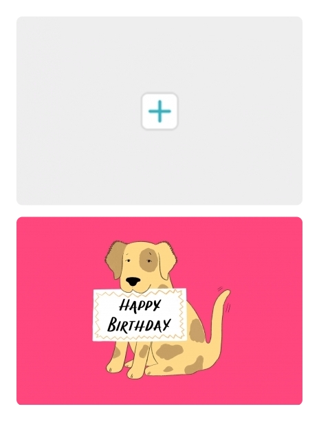 2022 birthday kaytrain dog