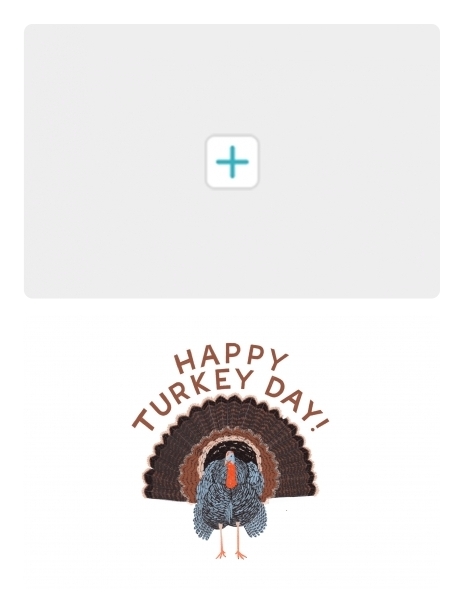 2021 thanksgiving hannahbotino turkey