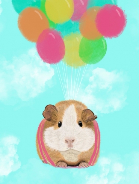 Flying Guinea Pig Birthday Wishes