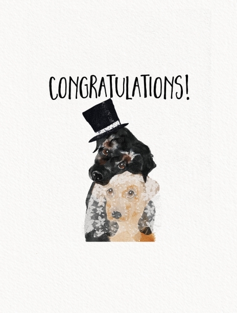Pets card image