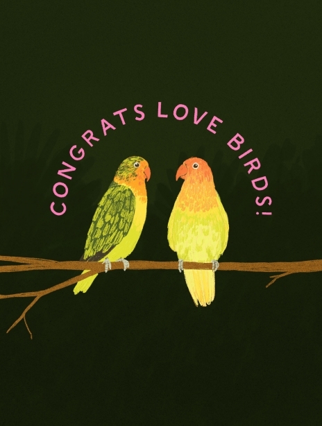 20232023 congratulation hannahbottino weddingparrots